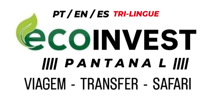 Fale com SUPORTE pelo telefone ou whatApp +55 (65) 99629-8417 suporte@grupoecoinvest.com.br - INVESTIMENTO SEGURO RENDE 10% AO MÊS - CONHEÇA A ECOINVEST TRADER EM POCONÉ E VÁRZEA GRANDE MATO GROSSO BRASIL TELEFONE +55 (65) 99629-8417 - ATENÇÃO ESTE CANAL DE ATENDIMENTO É EXCLUSIVO PARA CLIENTES ATIVO NA ECOINVEST TRADER POCONÉ EM MATO GROSSO - Uma Empresa: Grupo Ecoinvest Mato Grosso - INVESTIMENTO SEGURO E RENDE 10% AO MÊS INVISTA A PARTIR DE R$ 300,00 NO PIX OU DEPOSITO BRADESCO.